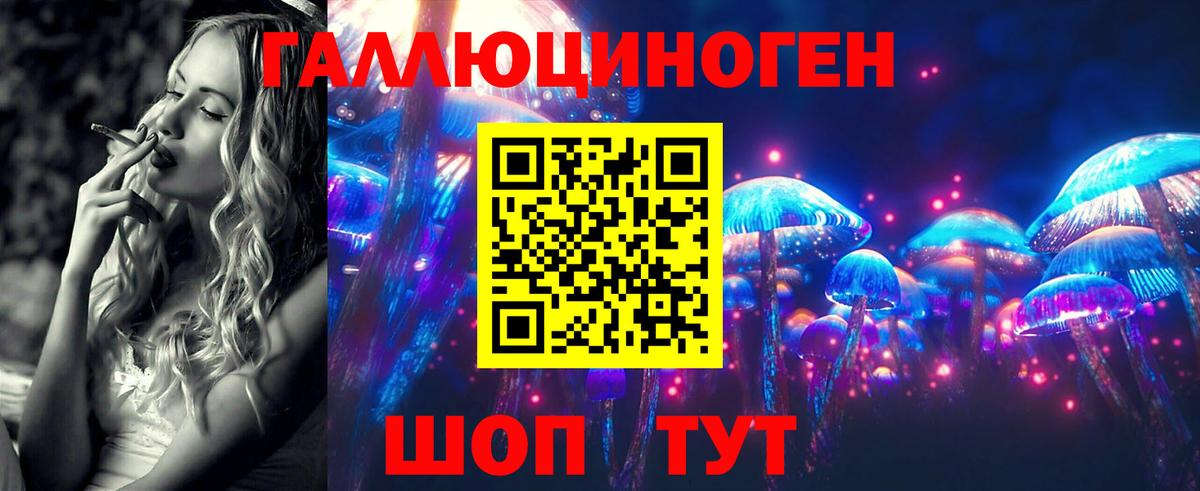 Балашов  Псилоцибиновые грибы Magic Shrooms  Вход с VPN 